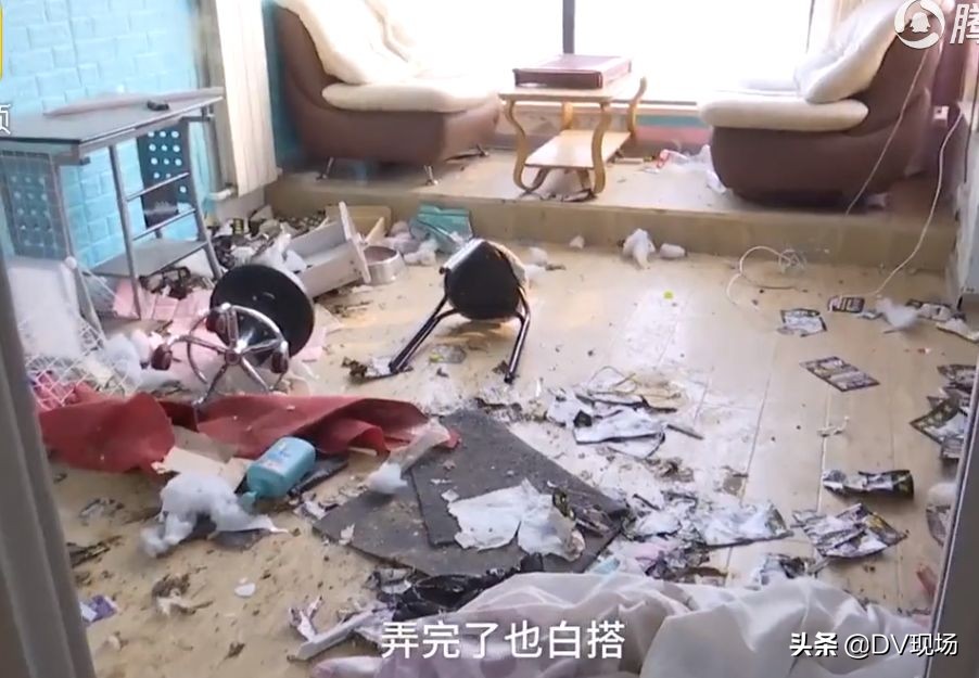 租房小伙退租后惊呆房东,房东收房租时见惊人一幕