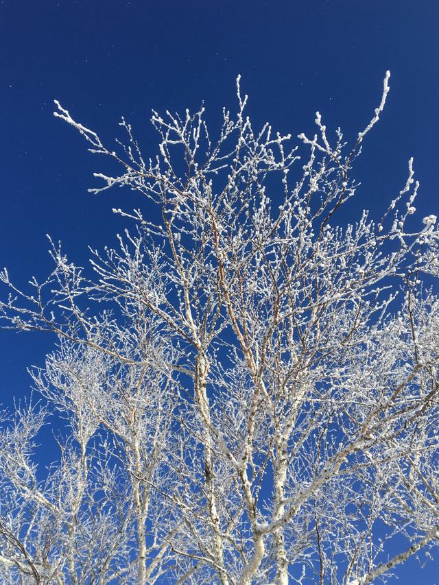 黑龙江省牡丹江市雪乡第一场大雪,雪乡迎来深秋第一场雪