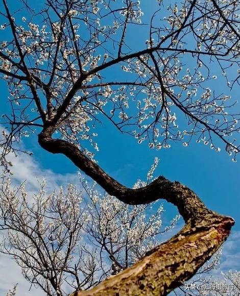 苏州太湖西山岛江浙沪最强攻略,太湖西山岛旅游完整攻略