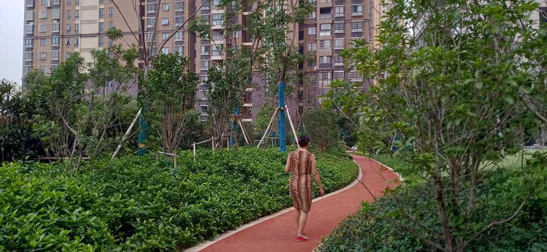 忆当初青春年少,再忆青春完整版