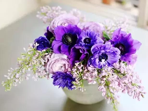 宠物用品鲜花招商|2019天猫宠物鲜花行业招商会席位已开放