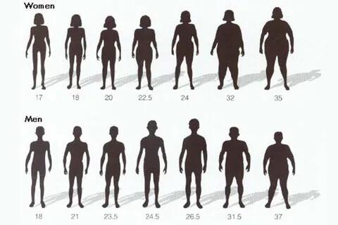 超重和肥胖的标准bmi定义,判断肥胖级的bmi数值