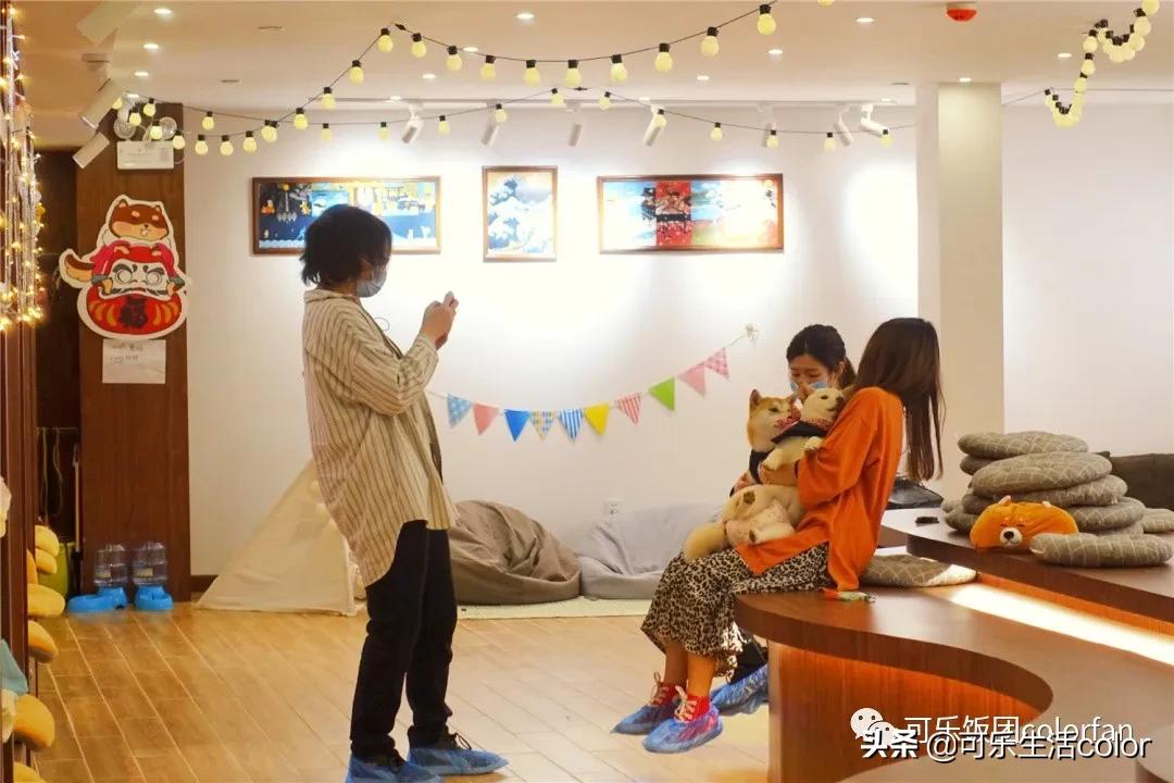 撸柴犬店广州,撸柴宠物乐园