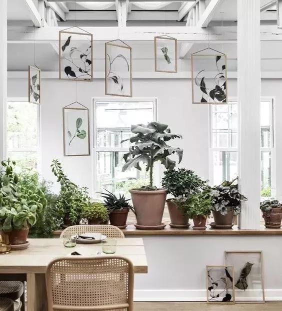 适合干花的装饰,简单的干花装饰