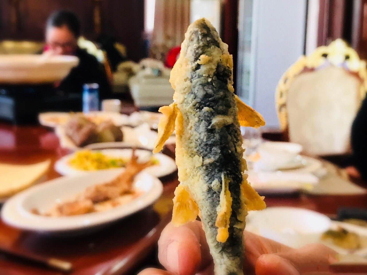 野生赤鳞鱼特征与分布,泰山赤鳞鱼在别的地方也有吗