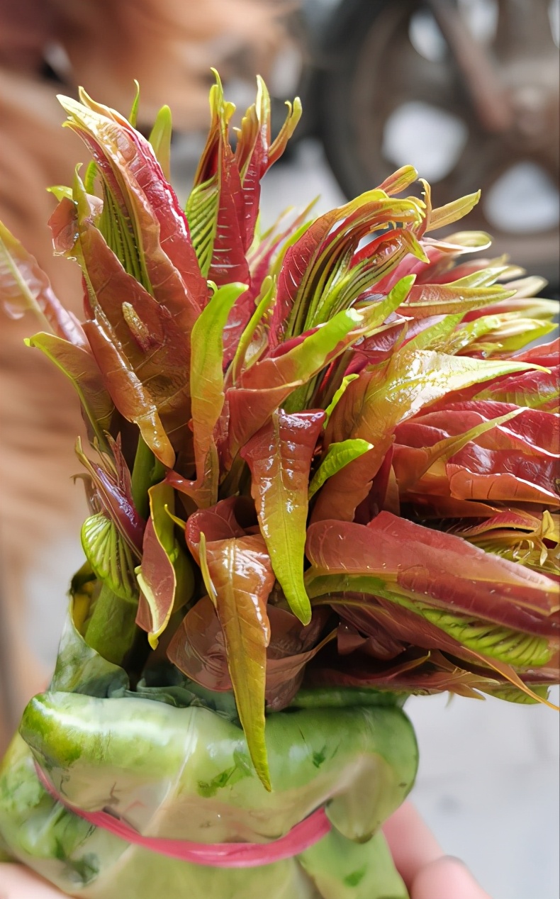 做一个有学问的吃货,做一个有文化的吃货