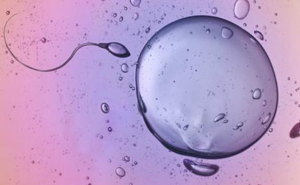 排卵期时间表备孕必看,备孕预测排卵多久测一次