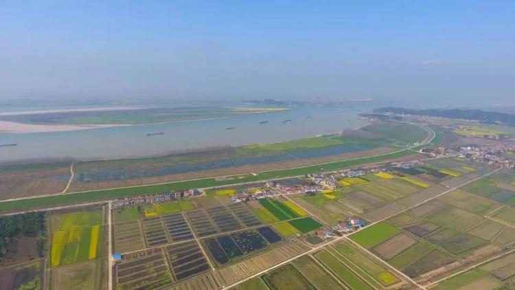 全面落实河长制湖长制,河长制湖长制工作