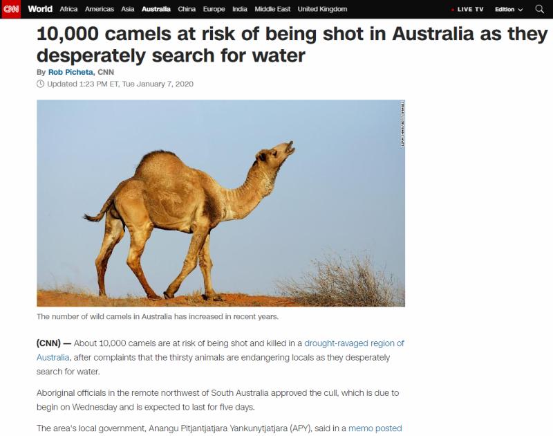 maxinatal骆驼奶粉评测,澳洲maxinatal的骆驼奶怎么样