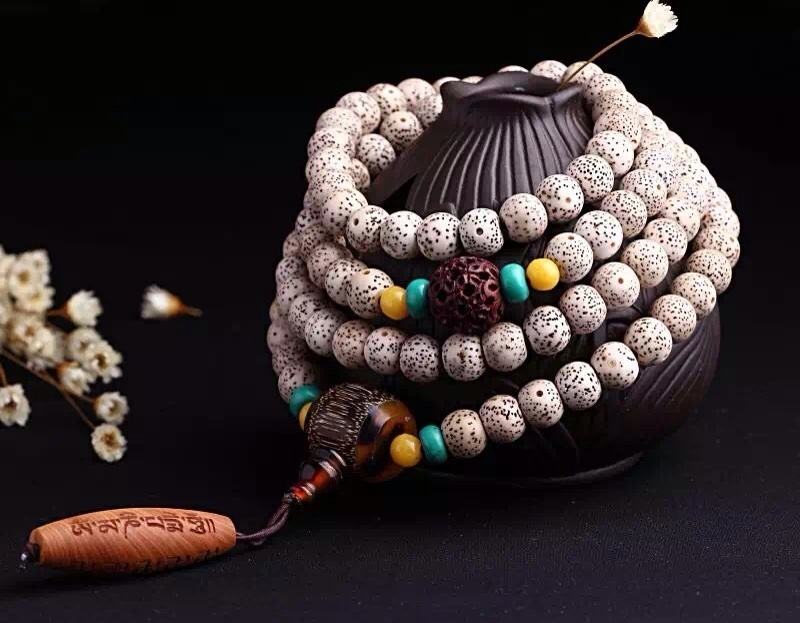 星月菩提的秘密视频,星月菩提阴皮染色区分