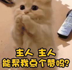 2016中超天津泰达3-4重庆力帆,中超重庆斯威对泰达最新消息