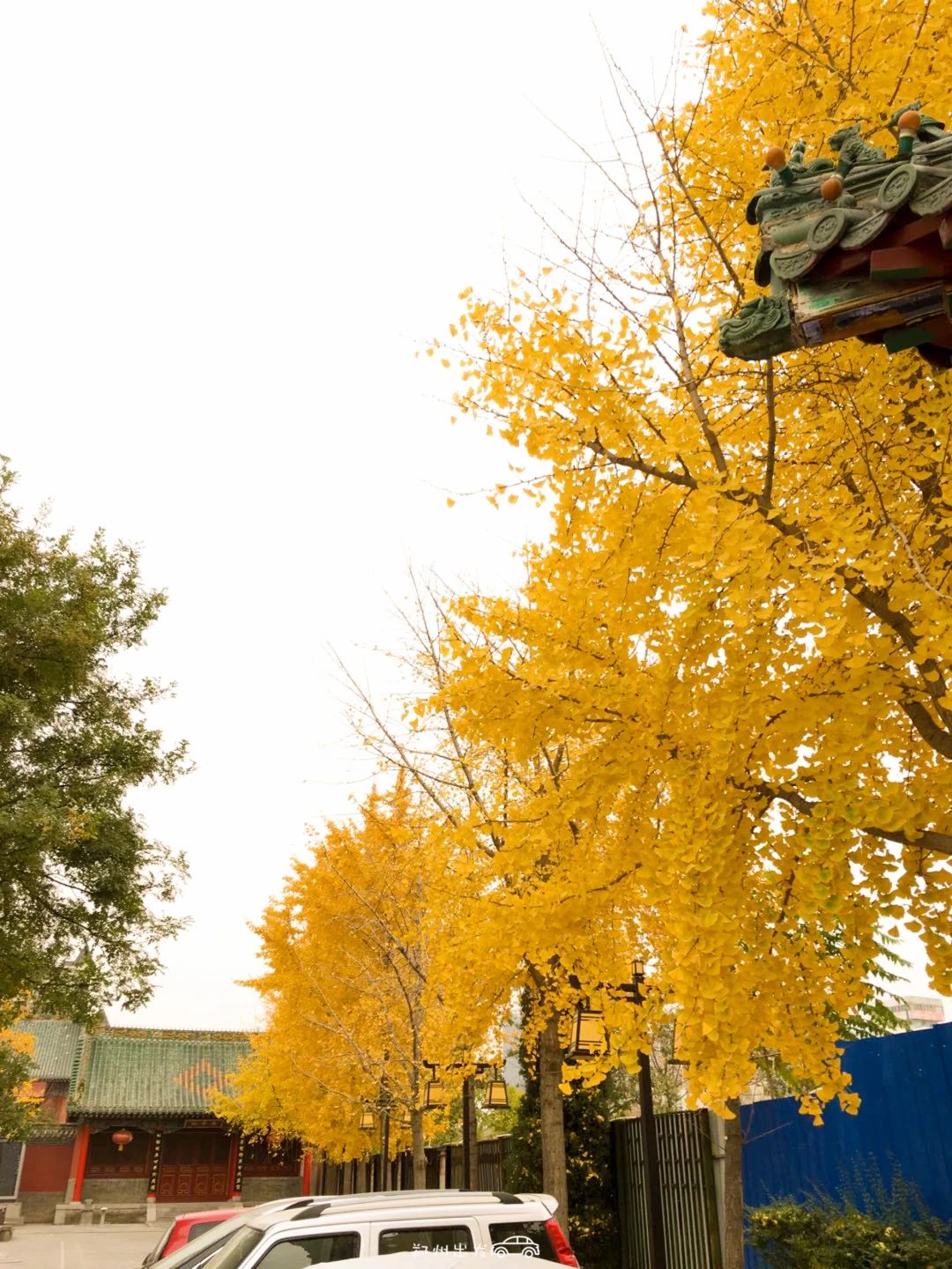 郑州漂亮的秋色风景,郑州的这些湖畔藏着最美的秋色