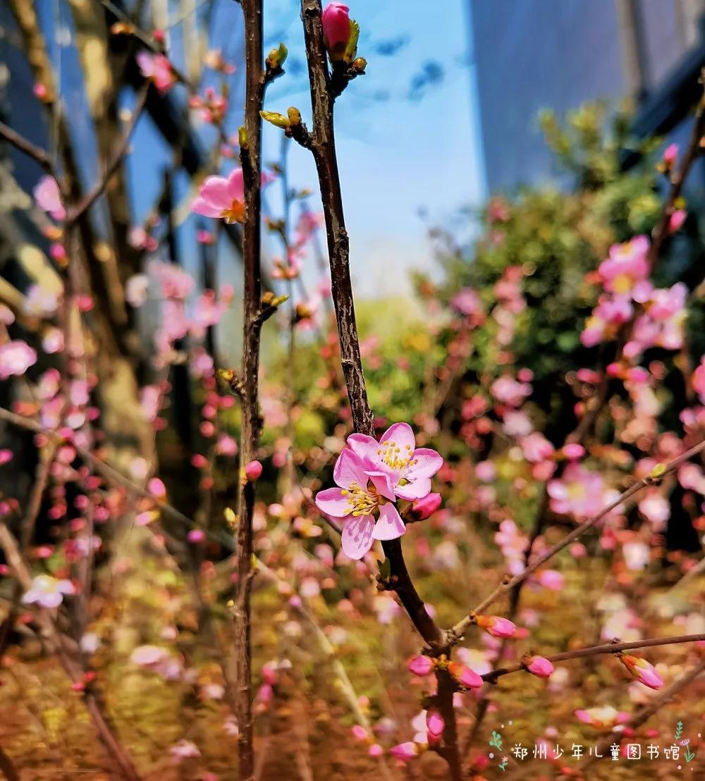 为什么惊蛰这天要打小人,二十四节气惊蛰民间传说