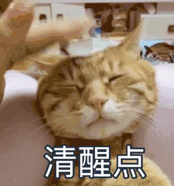 6元看全集,热播剧《扫黑风暴》资源曝光?