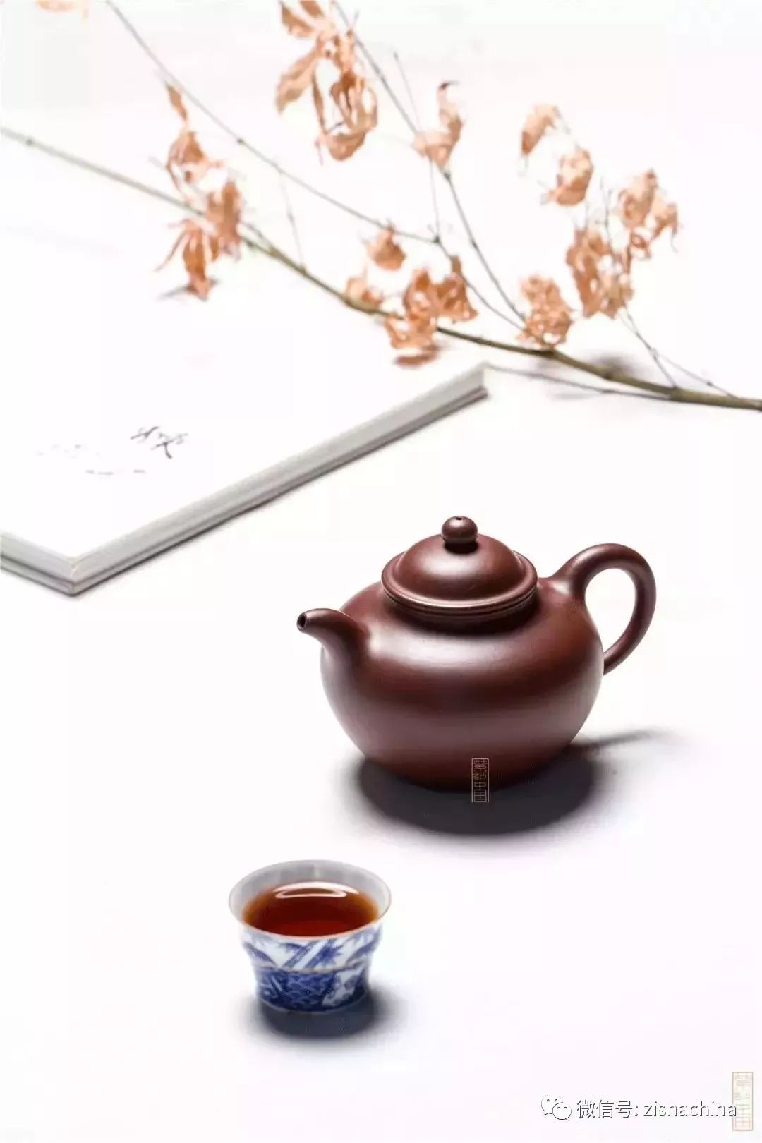 同卵双胞胎是同性还是异性,同卵双胞胎的dna一样吗