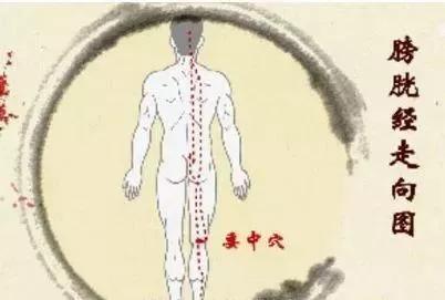 手健康有多重要,手型看健康