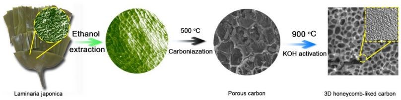 哪些人可以发sci,高中生可以发sci吗
