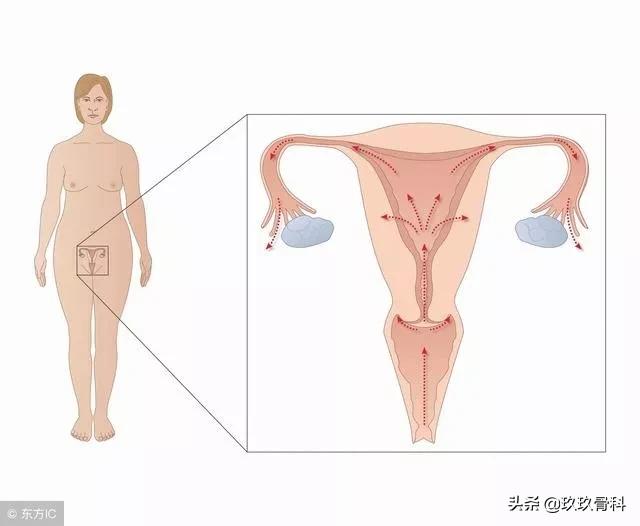 沉迷翘二郎腿的你，骨盆还好吗？