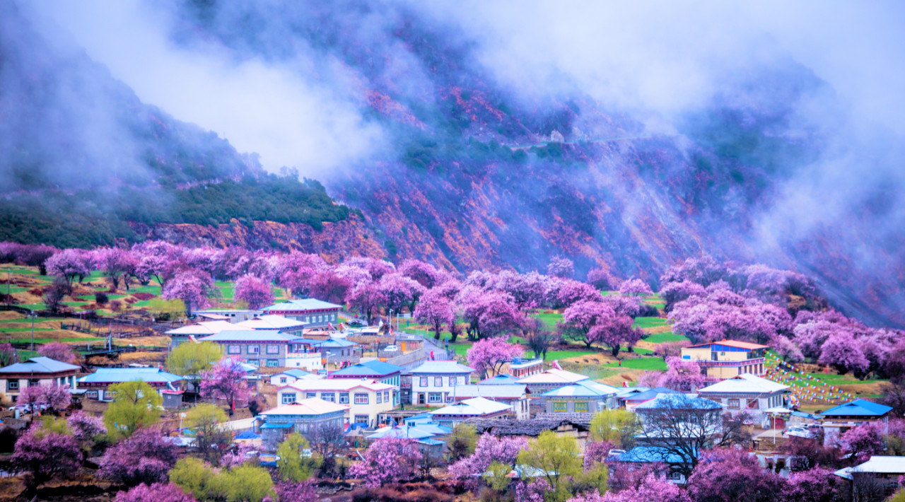 鎭掑ぇ鍏泭娲诲姩,鎭掑ぇ閰掑簵鍖绘姢棰勭害