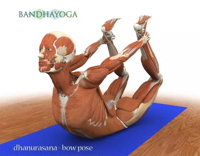 想练瑜伽但又怕疼,想练瑜伽没有毅力怎么办