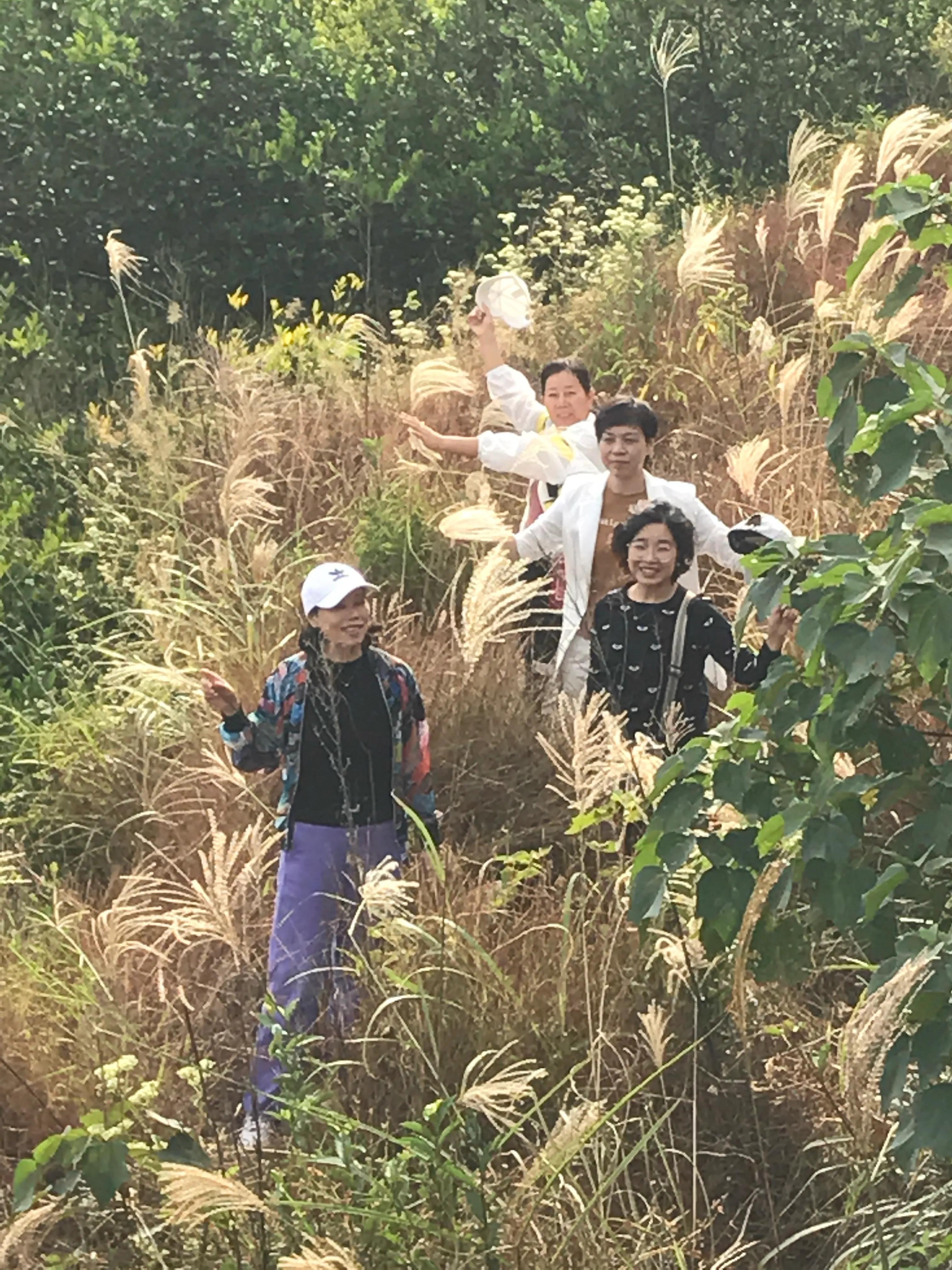 澶х編鑼跺北鏅尯,澶х編鑼跺北缇庢櫙