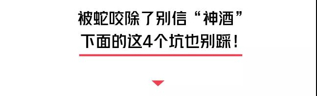 警惕蛇出没已有人被咬,在小区里被毒蛇咬伤小区有责任么