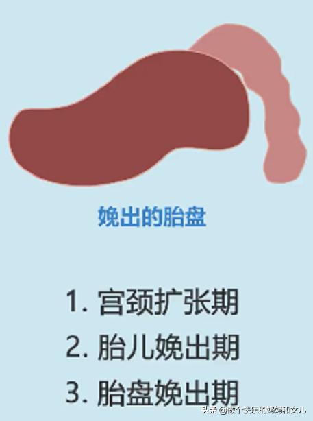 预产期喝蜂蜜水能加快生产吗,喝蜂蜜水真的可以催产