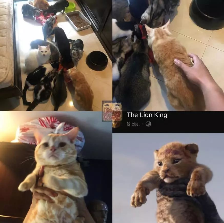 让人膜拜的神级cosplay,最难以驾驭的cosplay