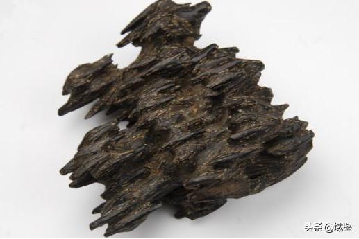 比黄金贵的木头沉香,沉香木比黄金贵