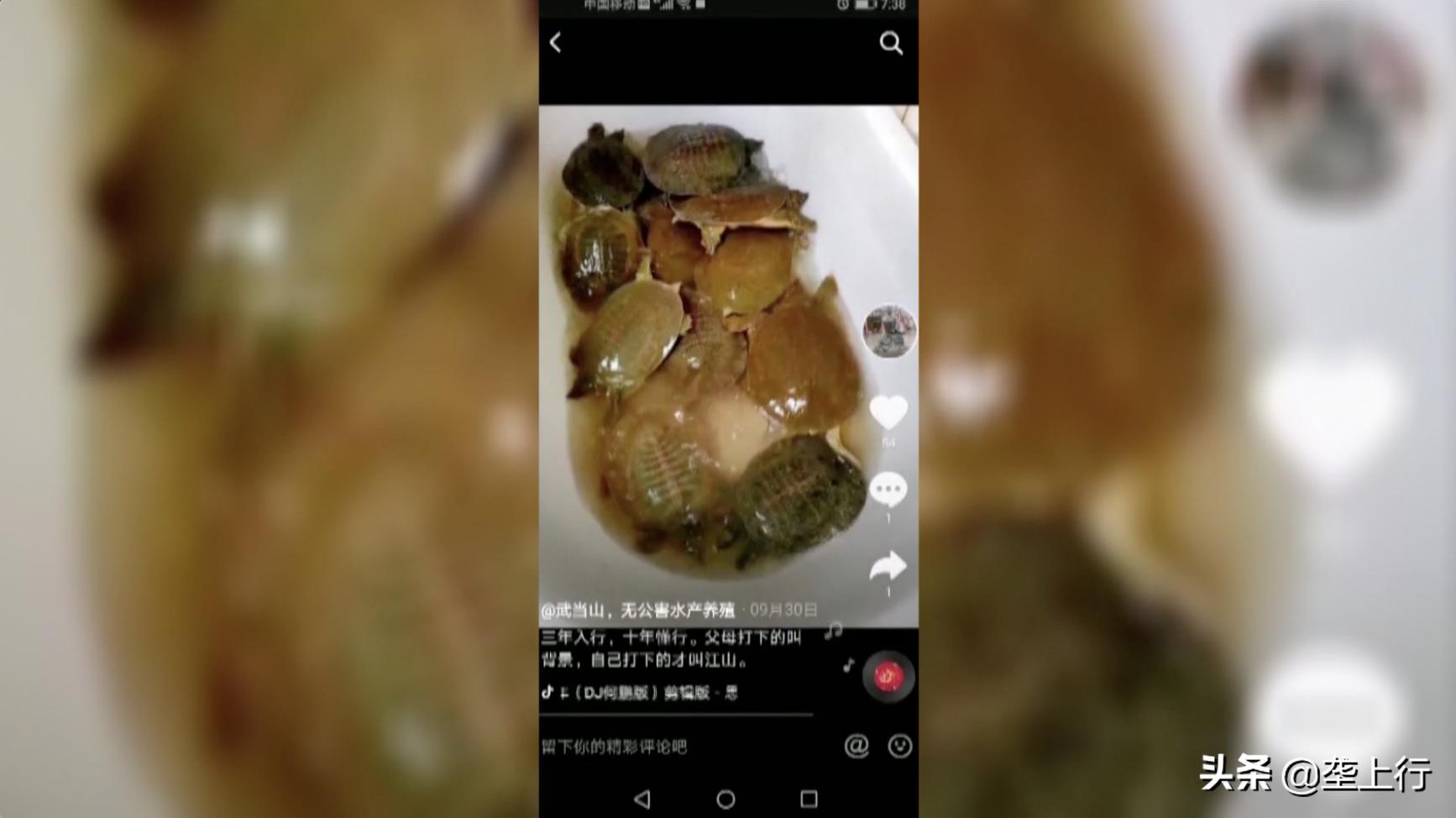 一月卖出500多斤!十堰残疾小伙玩转短视频,把甲鱼卖到全国