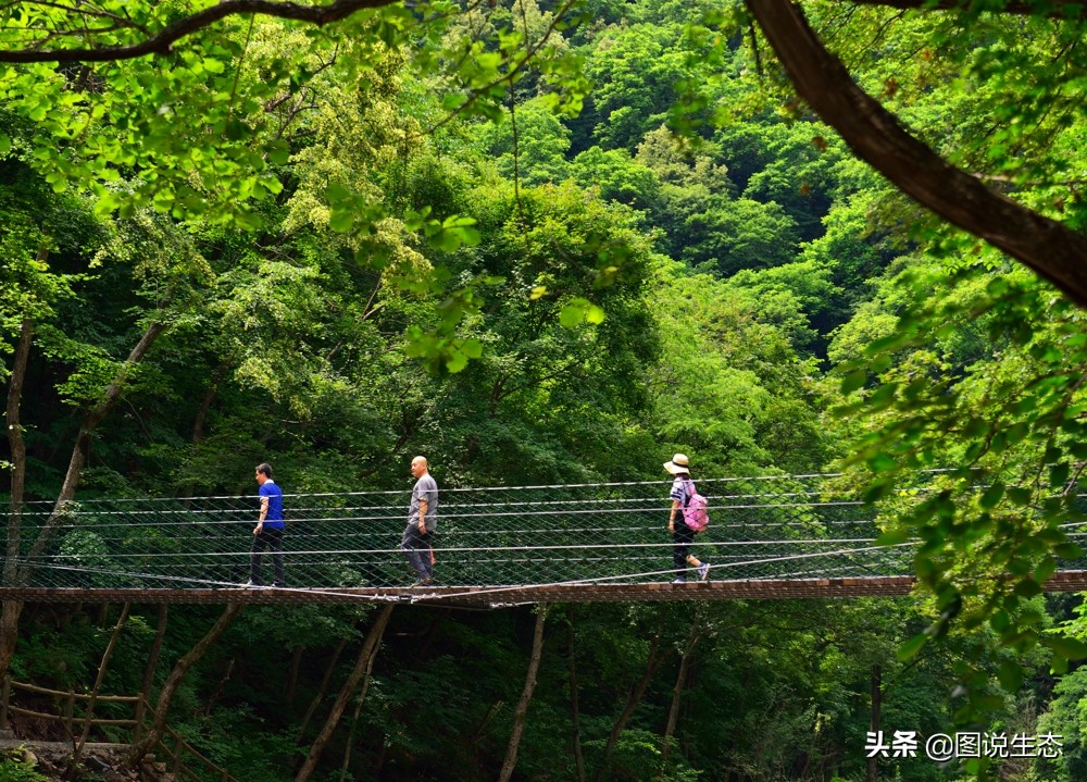 农村大山发现一尊山体大佛,本溪大峡谷天然石佛