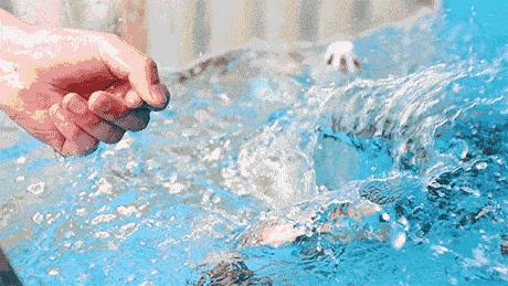 夏日周末亲子活动抓鱼,农家乐抓鱼亲子活动