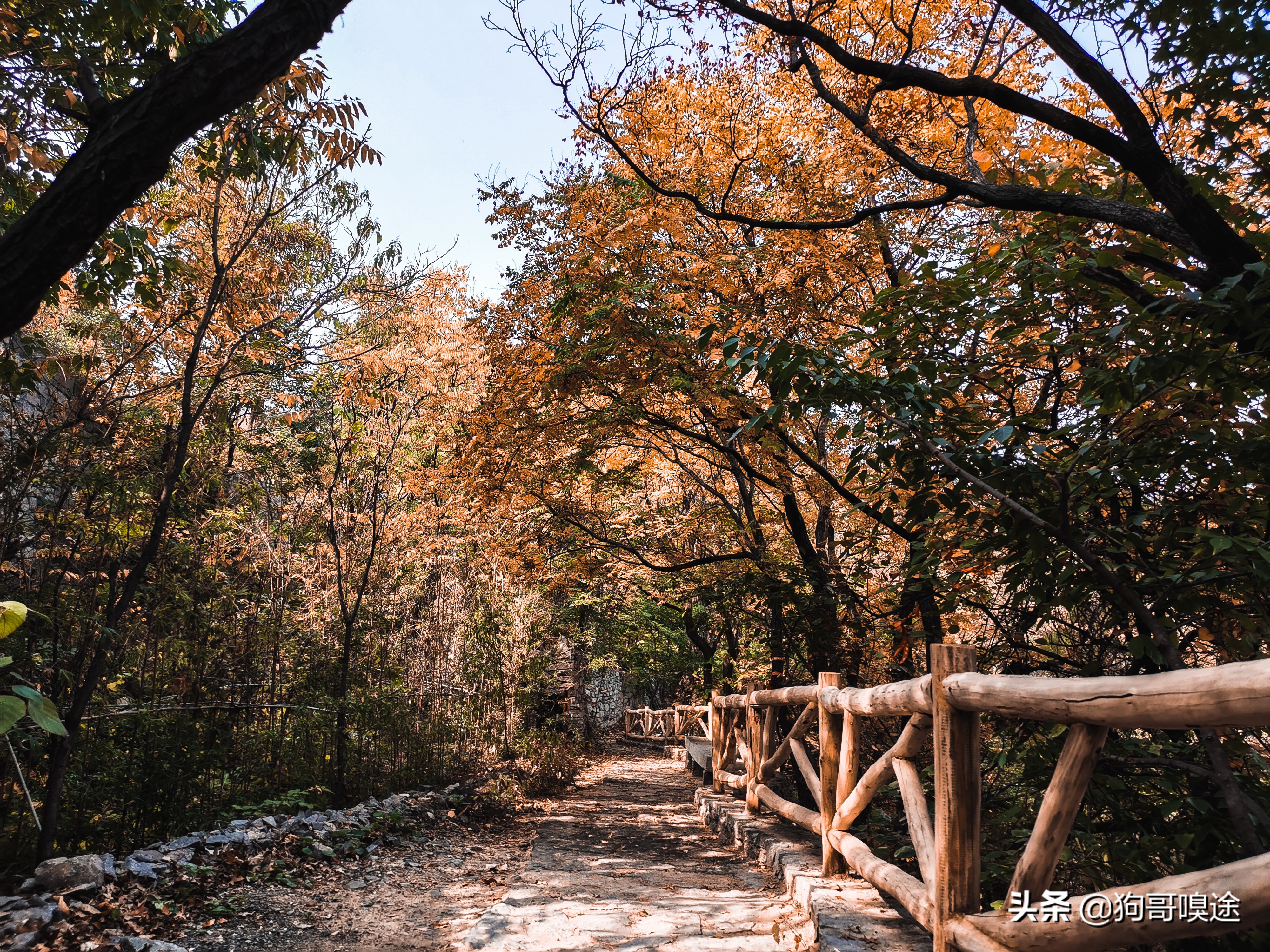 淄博避暑野餐哪里好玩,淄博夏天山里好玩的地方