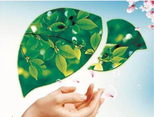 肝功能检查只有总胆汁酸偏高,肝功能总胆汁酸高的原因是什么