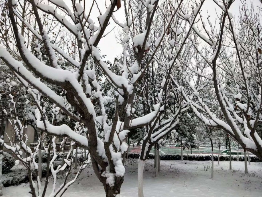 心理治疗和药物治疗的效果,心理治疗对患者有作用么