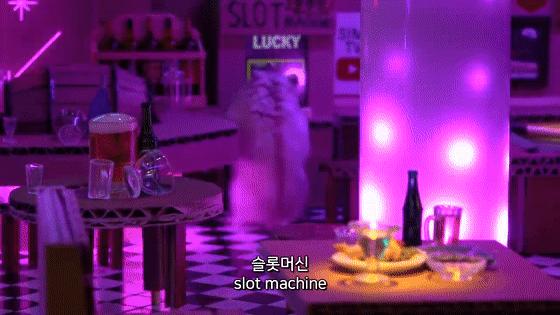 身价300万的仓鼠外网走红！住3层电梯豪宅，丰富娱乐，人不如鼠啊