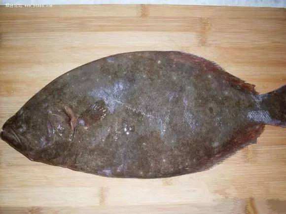 史上最全面的海鲜大咖,史上最全海鲜视频