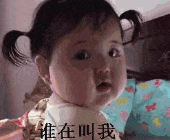 佛山市学费最贵的学校,佛山学费最贵的学校