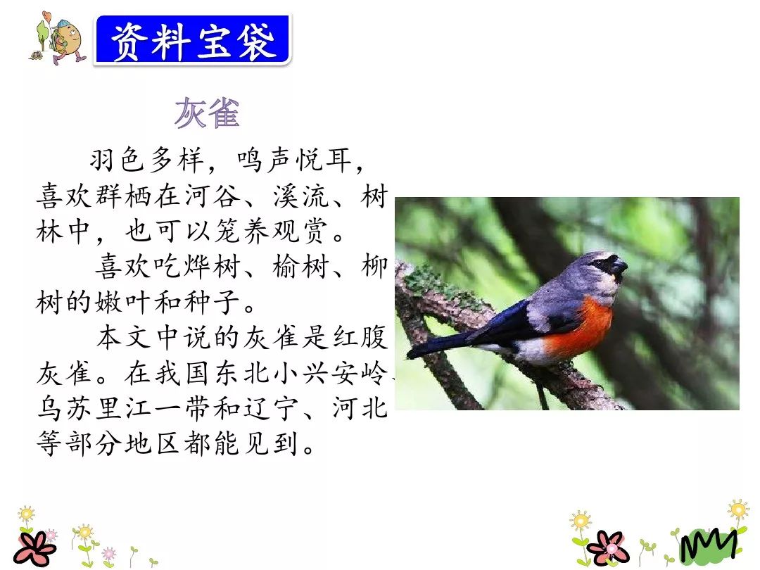 三年级上册26课灰雀的课后词语,三年级26课灰雀生字组词加拼音