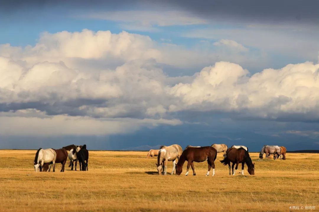 中国10条最美逆天的公路,一年仅开放四个月的独库公路