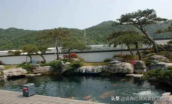 鱼树栽屋前好还是屋后好,阳宅不宜栽什么树