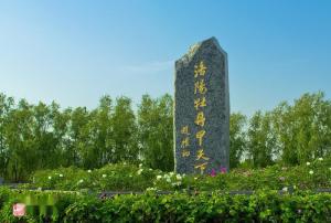 中国洛阳镇,中国洛阳是哪里