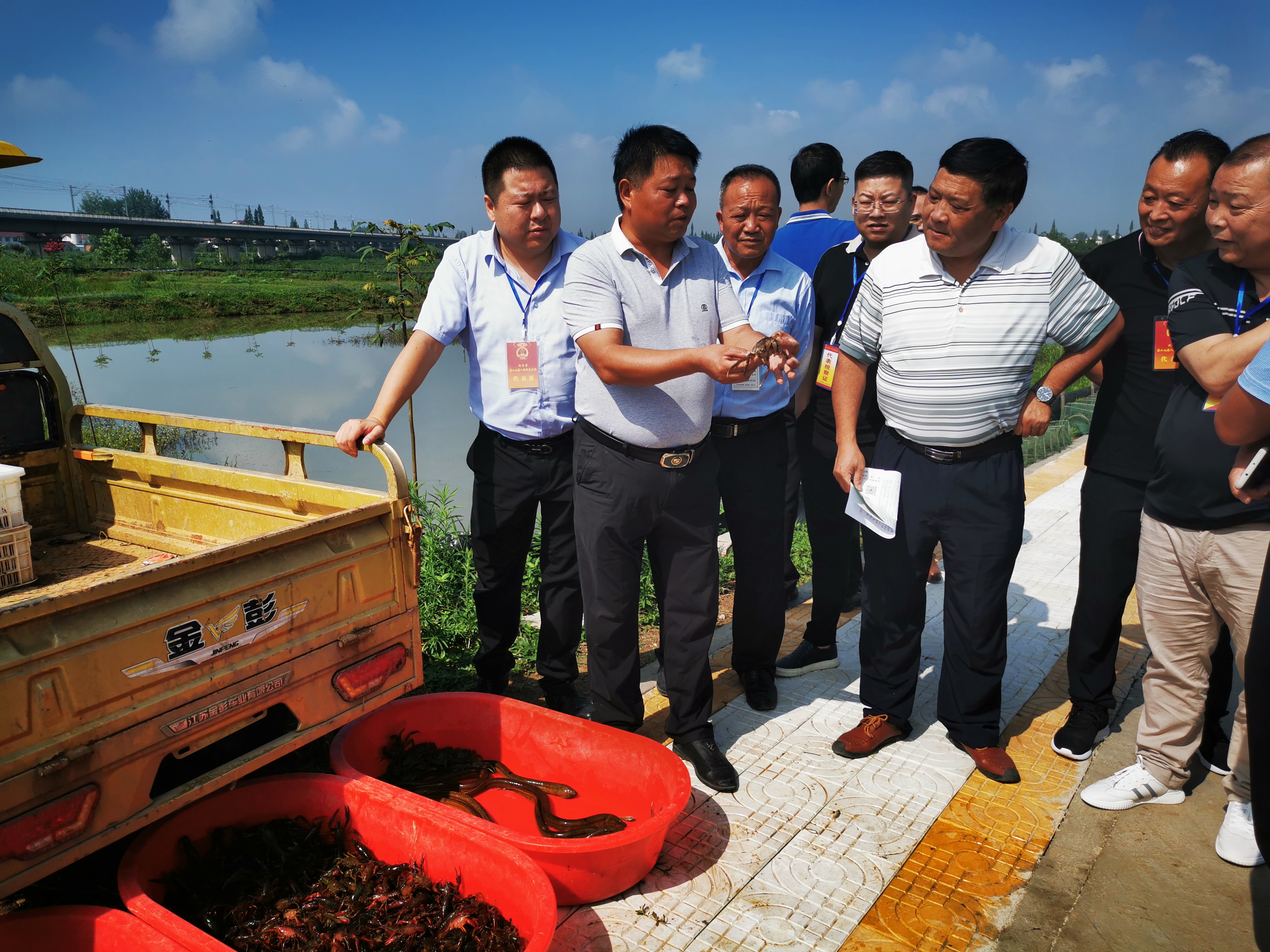 军魂永驻致敬中国军人视频,军魂永存致敬老兵视频