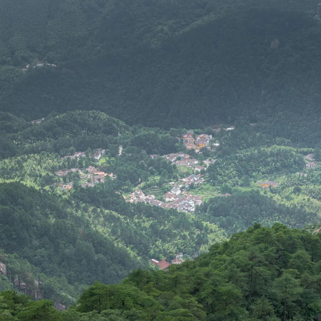 我国四大名山九华山,四大佛教名山哪个风景最美