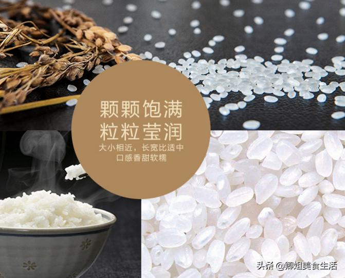 不用海苔就能做的寿司,寿司没有寿司醋白醋拿什么代替