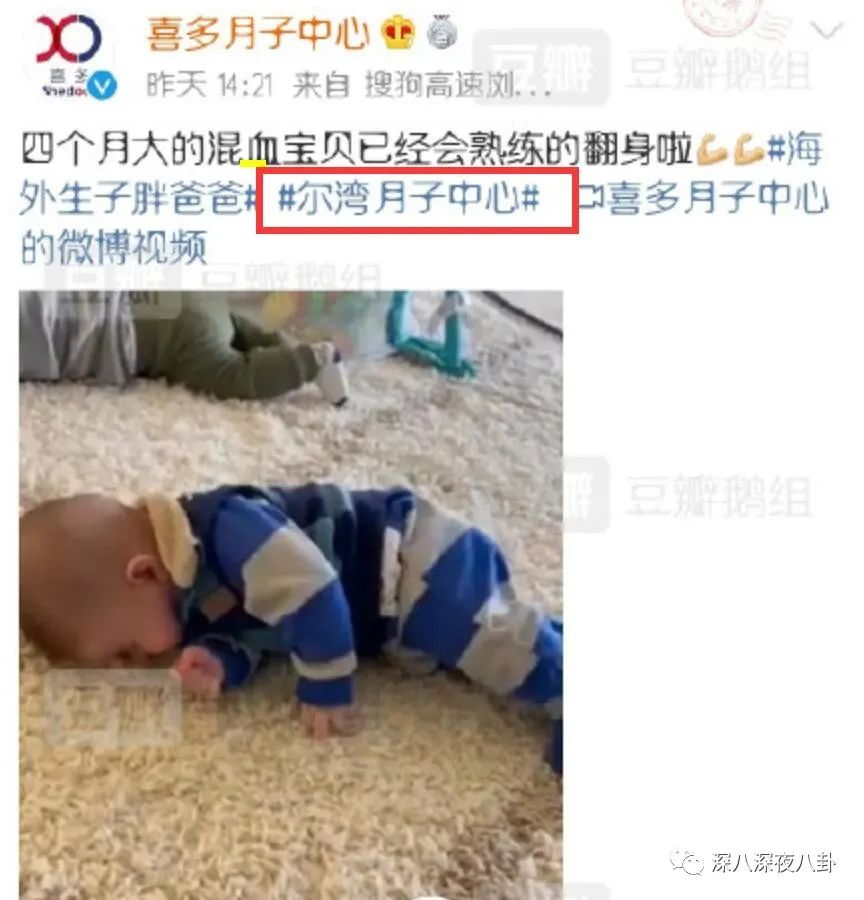 她们是精致的利己主义者吗？