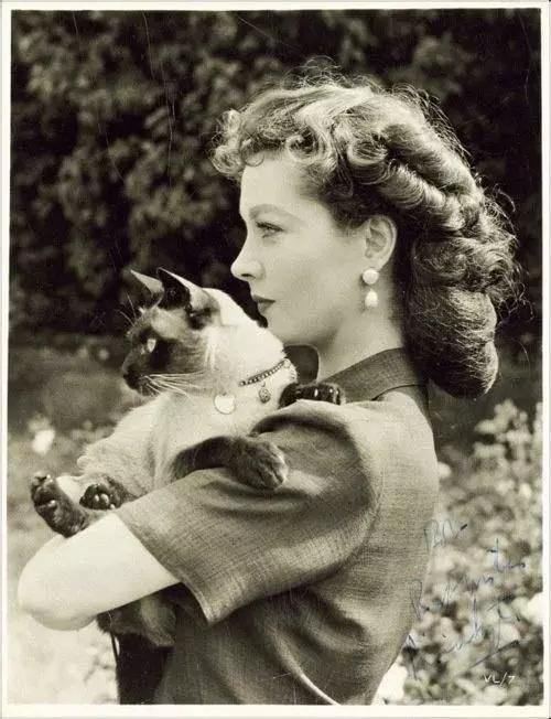 费雯丽盛世美颜也抵不过薄情寡义,费雯丽乱世佳人红裙