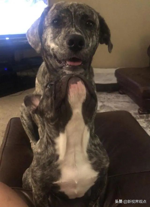 神奇的视觉错位图30张,神奇的错位照片