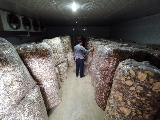 平坝区香菇种植,平坝区发展三大特色农业