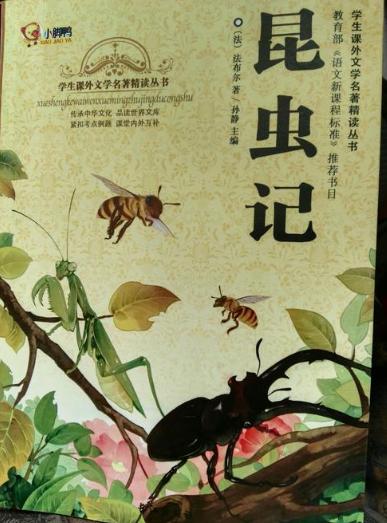 10本世界名著大盘点,你家孩子读过几本?可别拿网络小说凑数